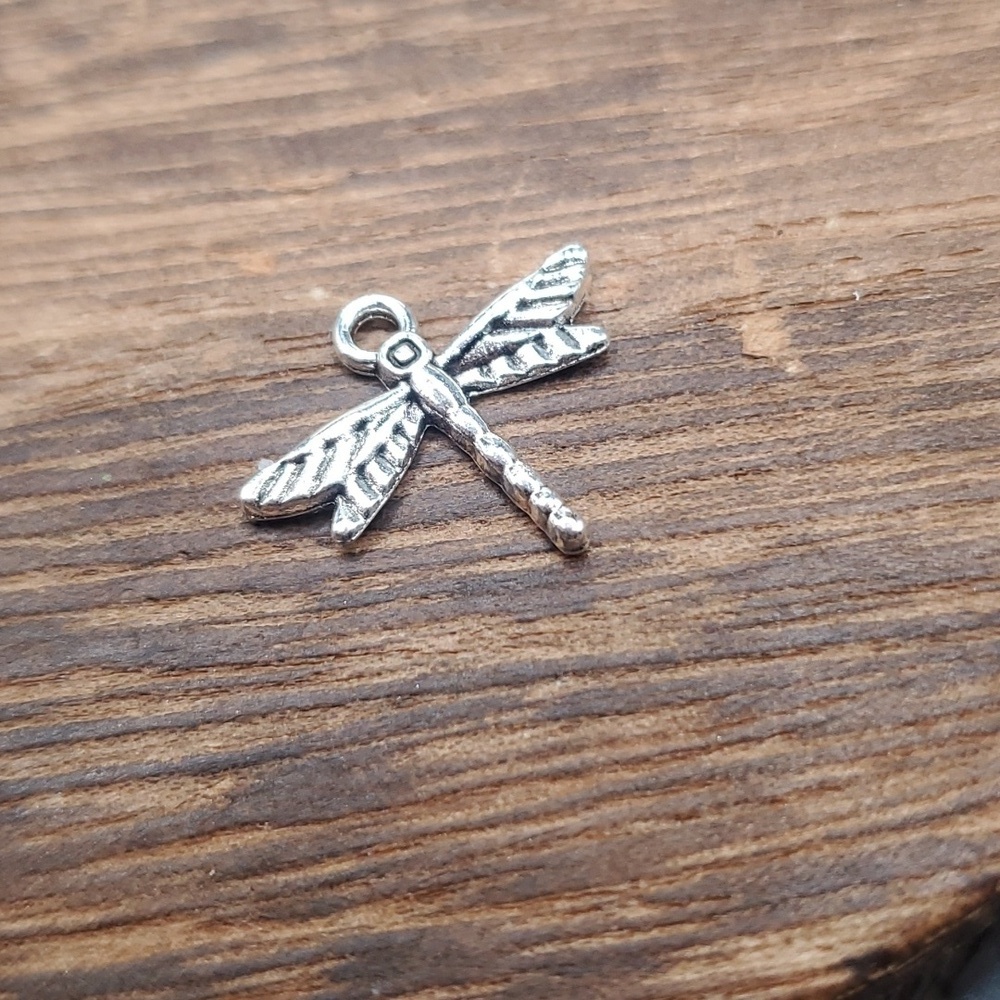 P113 dragonfly fairy core‎ charm